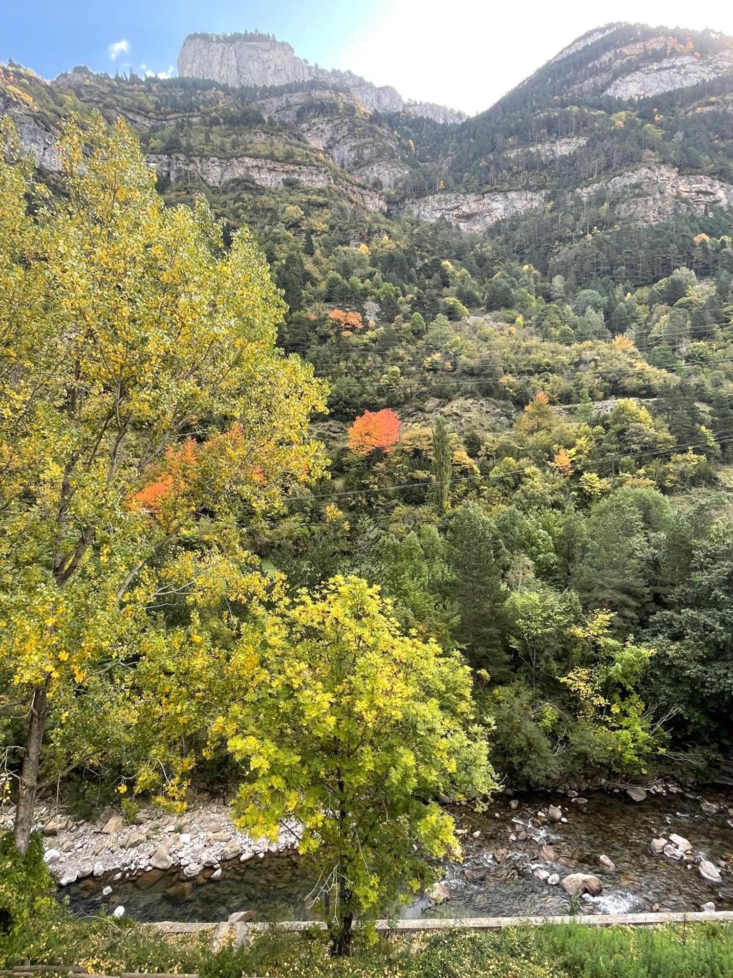 Calmfranc Atico Abuhardillado Con Vistas Al Rio Y La Montana Avistamiento De Ciervos En Canfranc Pueblo Dış mekan fotoğraf