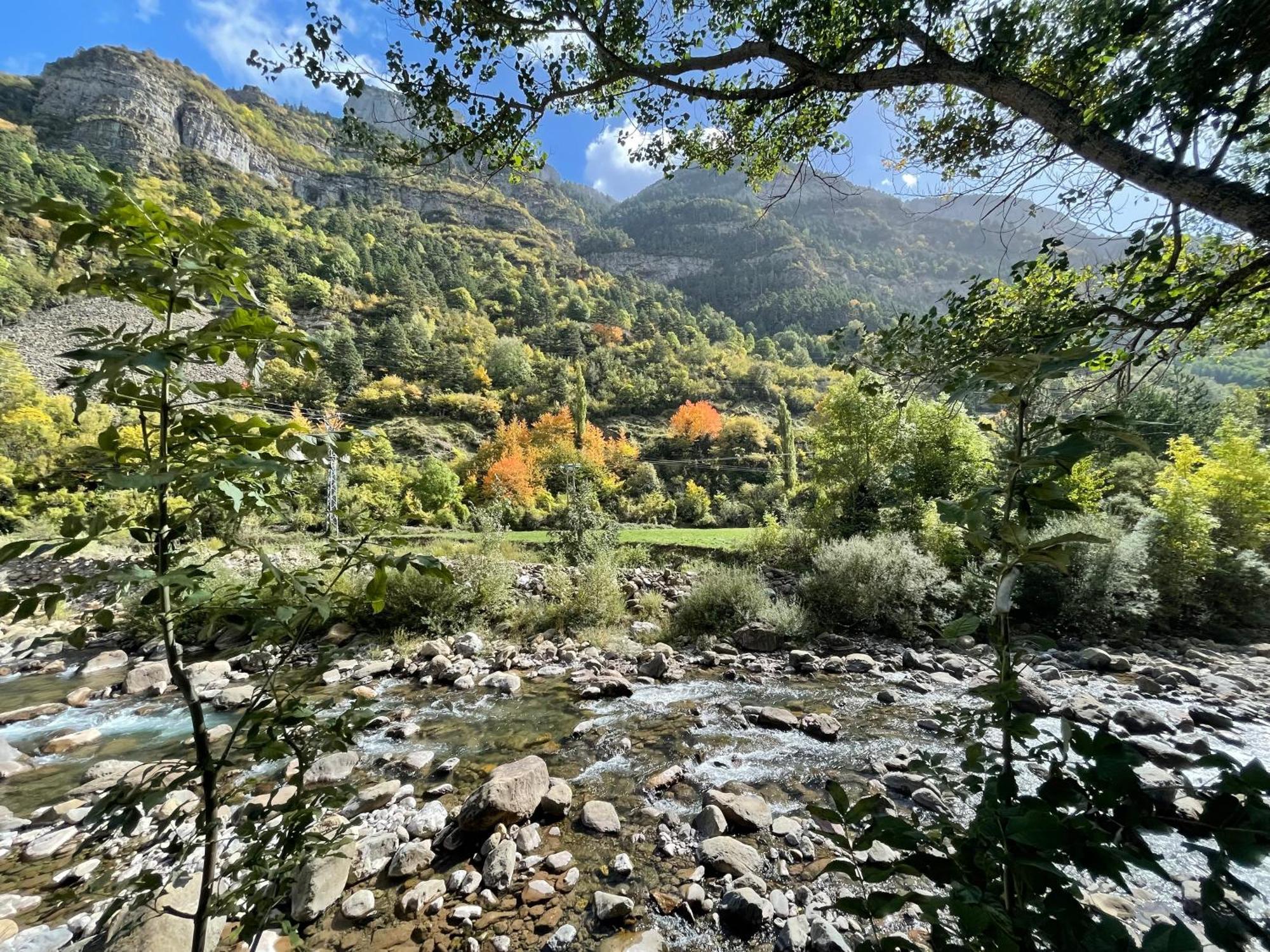 Calmfranc Atico Abuhardillado Con Vistas Al Rio Y La Montana Avistamiento De Ciervos En Canfranc Pueblo Dış mekan fotoğraf