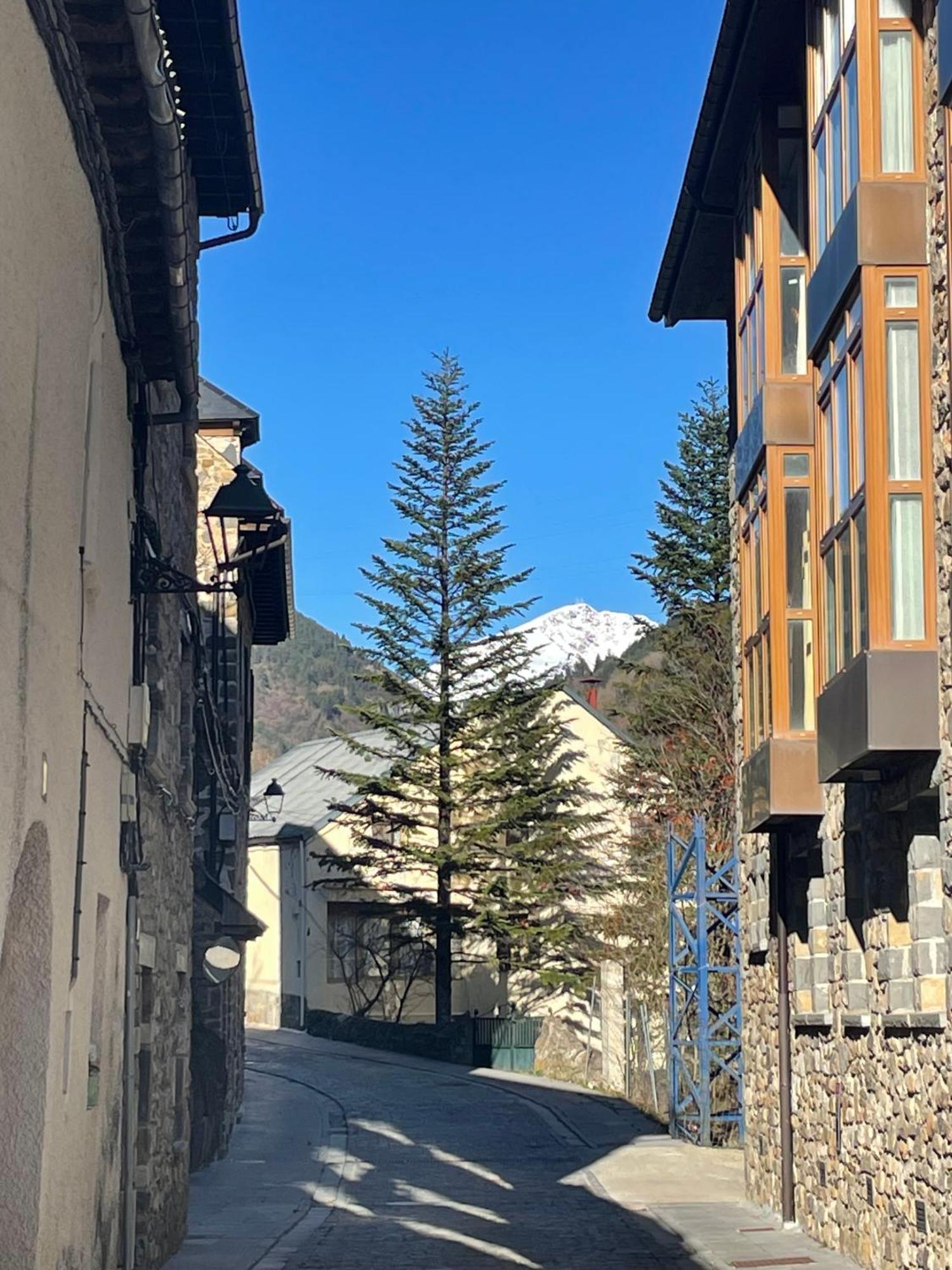 Calmfranc Atico Abuhardillado Con Vistas Al Rio Y La Montana Avistamiento De Ciervos En Canfranc Pueblo Dış mekan fotoğraf